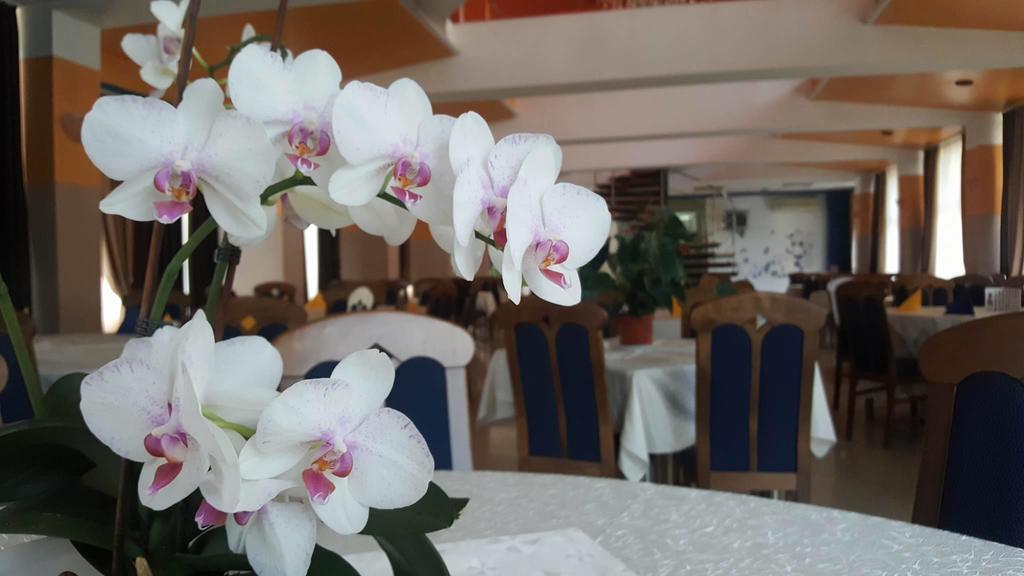 Motel Blue River Călimăneşti